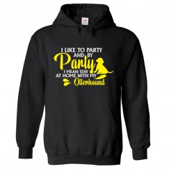I Like to Party And By Party I Mean Stay At Home With My Otterhound Classic Unisex Kids and Adults Pullover Hoodie 								 									 									